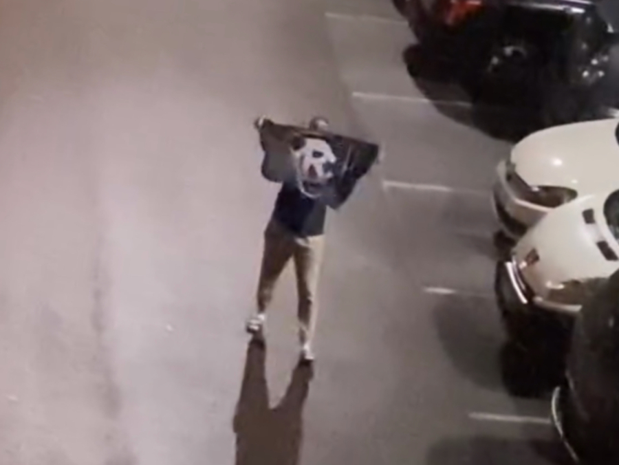 Torcedor azulino comemora acesso direto de Paris