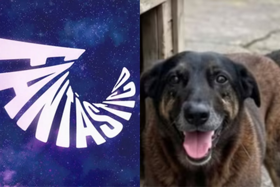 Caso Orelha: Fantástico é acusado de “passar pano” e revolta internautas