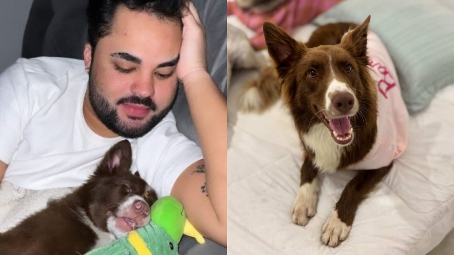 Lucas Guedez é acusado de abandonar cadela em creche canina em São Paulo