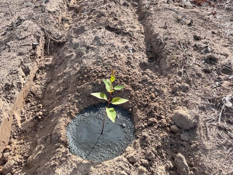 Dia Mundial da Água: tecnologia reaproveita resíduo industrial e reduz consumo hídrico na irrigação