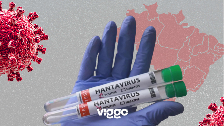 Hantavírus: entenda os riscos, sintomas e formas de prevenção da doença transmitida por roedores