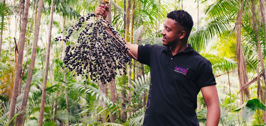 Da Amazônia para o mundo: jovem paraense transforma caroço de açaí em solução sustentável