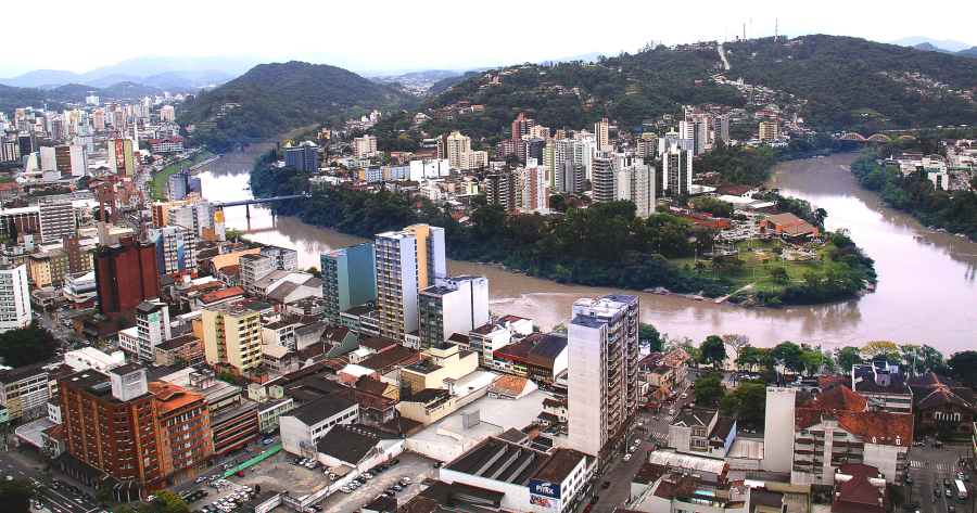 Dia do Paraense é celebrado em Santa Catarina neste sábado (15)