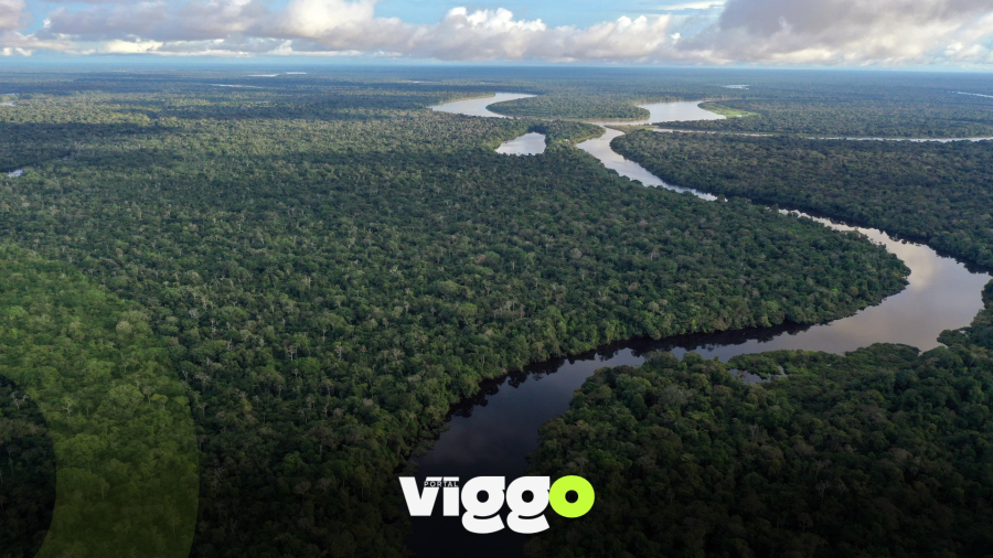 Próxima novela das 19h terá queda de avião na Amazônia e protagonista perdido na floresta