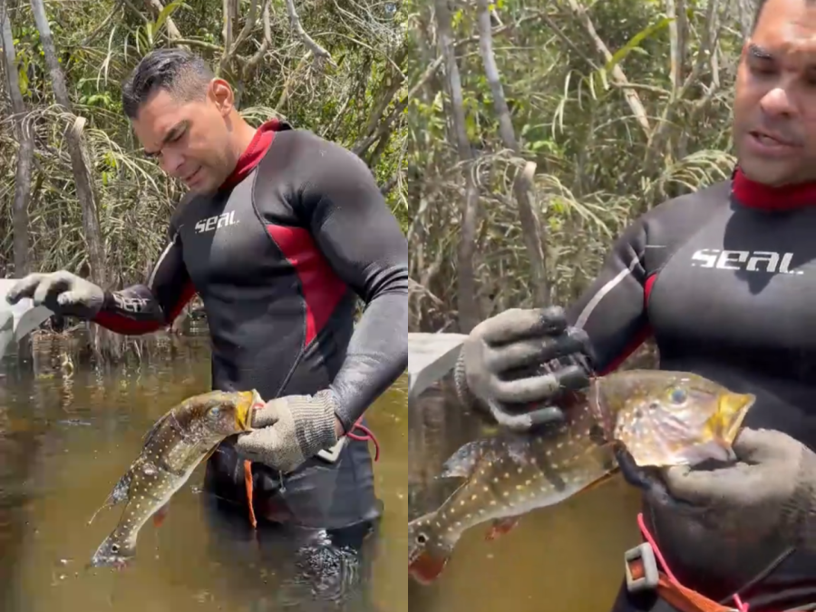 Paraense explica pesca subaquática após encontrar tucunaré preso em malhadeira