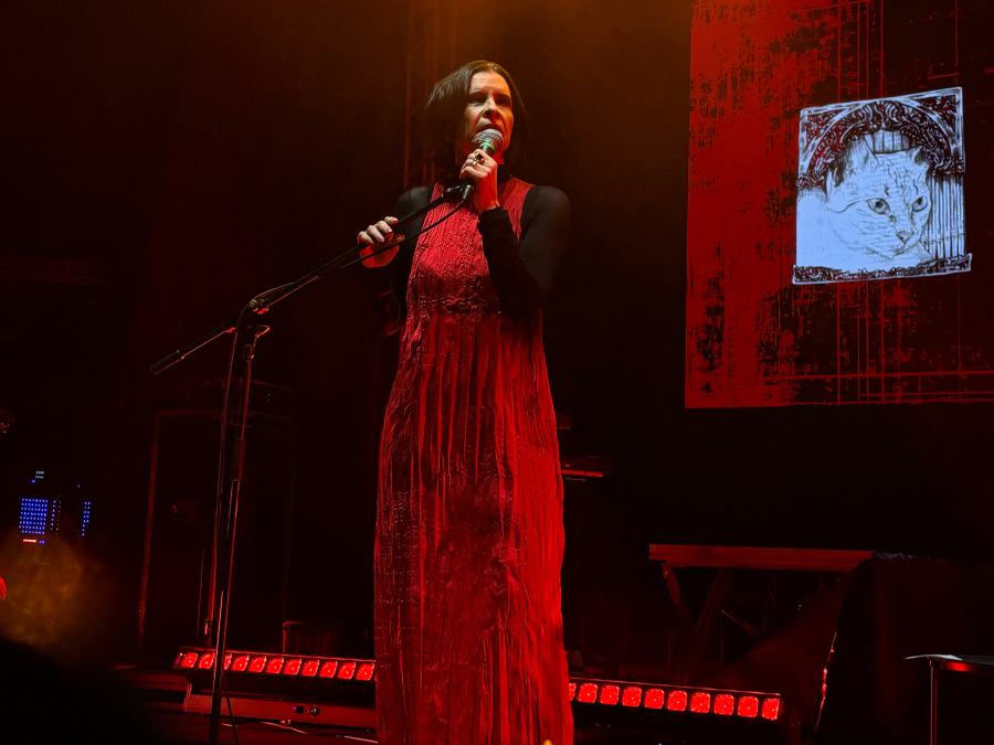 Marina Lima celebra 70 anos com show lotado na Concha Acústica, em Salvador